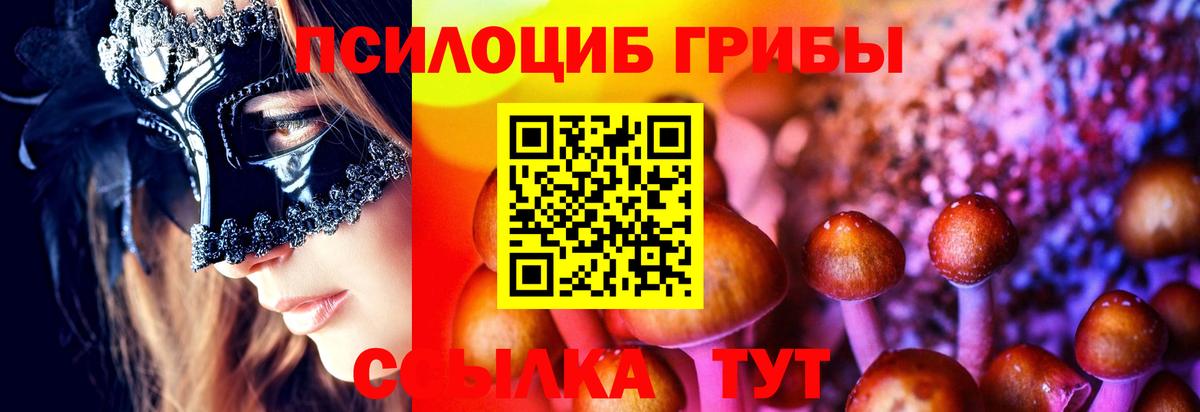 Псилоцибиновые грибы ЛСД  Галлюциногенные грибы мухоморы  Тосно  Вход с VPN 