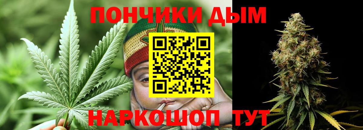 Каннабис Bruce Banner  Конопля ГИДРОПОН  Каннабис конопля  Тосно  Вход с VPN 